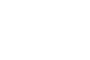 Sinergia 2